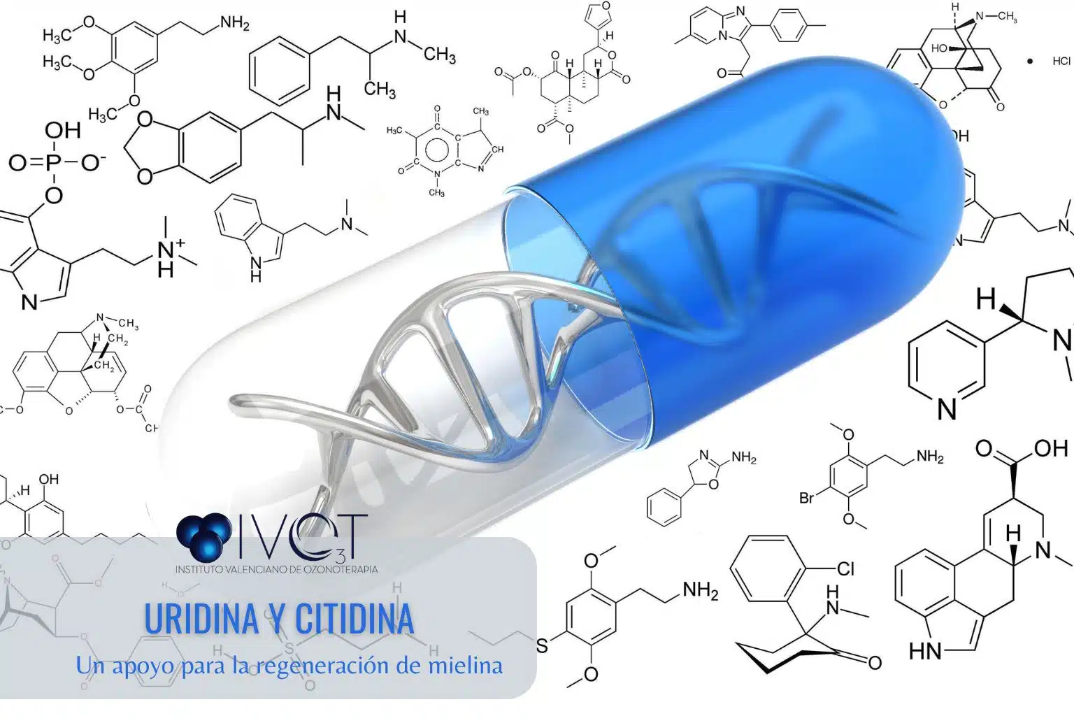 Uridina y citidina - fuentes alimentarias y suplementación médica