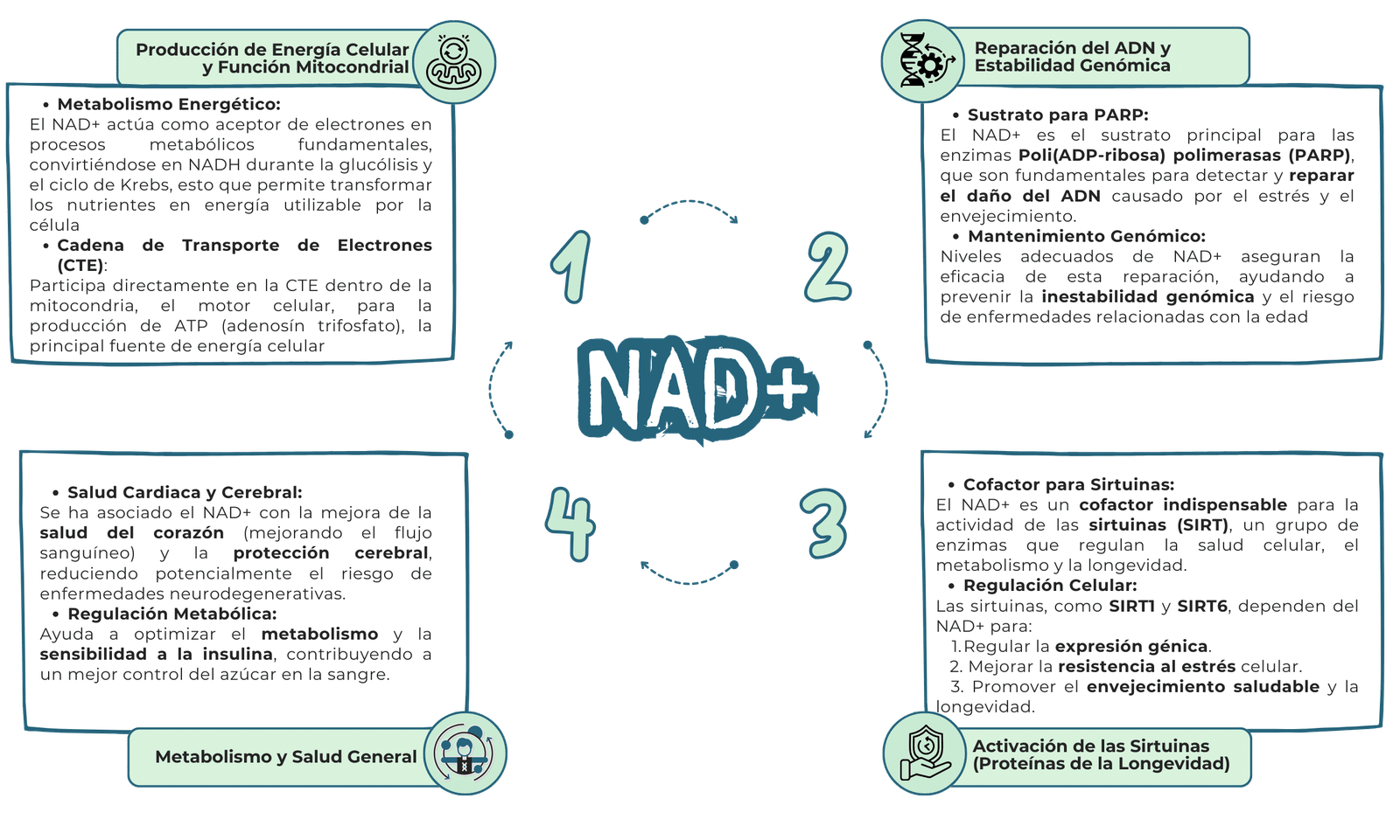 NAD+