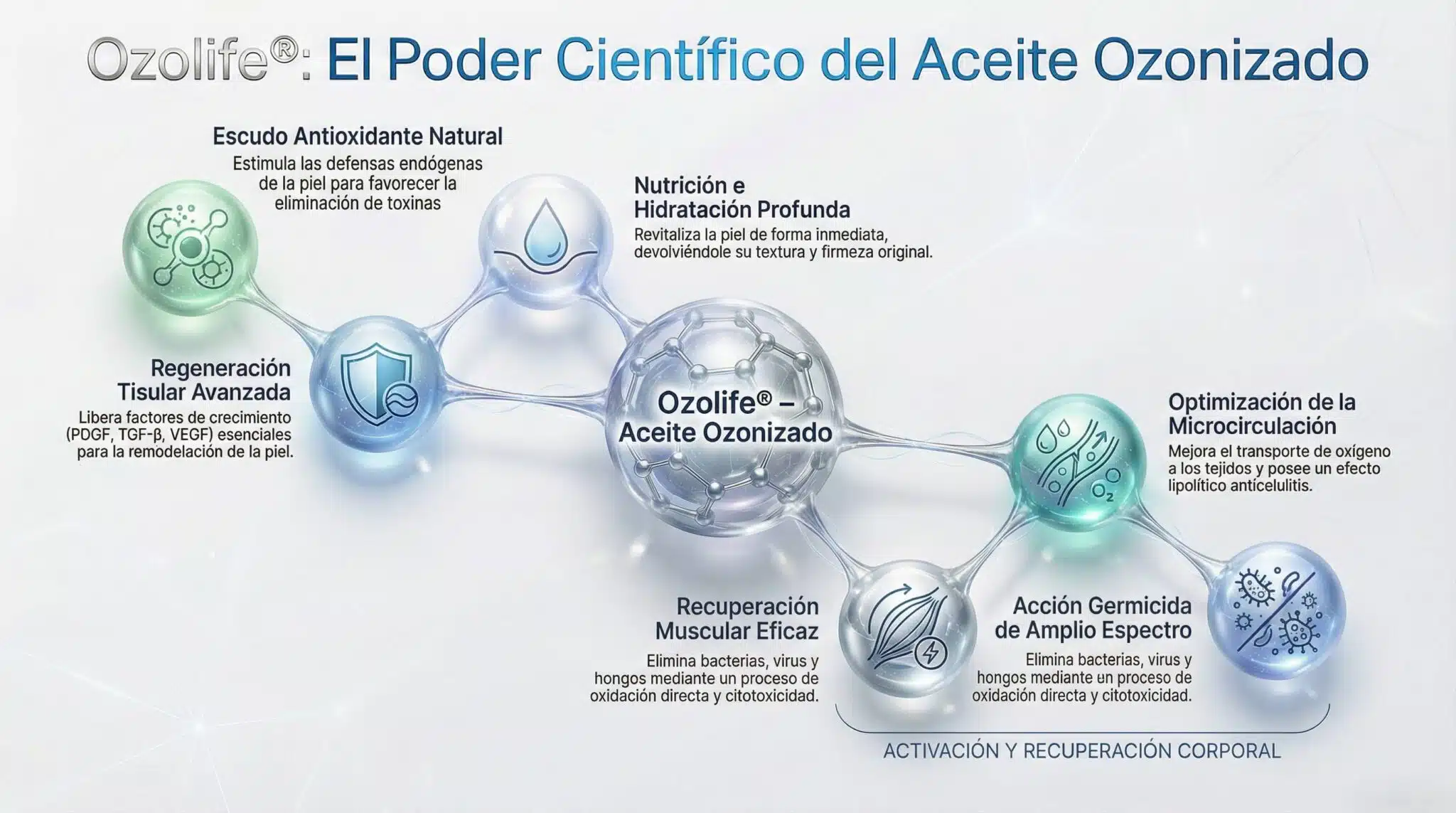 Beneficios y mecanismo del aceite ozonizado: base científica y acción biológica